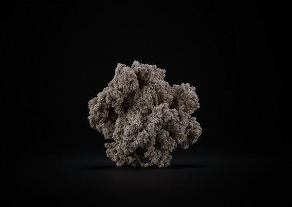 Barbara De Ponti / Jens Risch - Forma Mentis